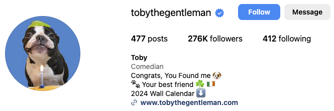Top Dog Influencers On Instagram Tomoson Blog